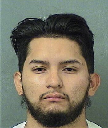 Alvin Rampersadsingh, - Palm Beach County, FL 